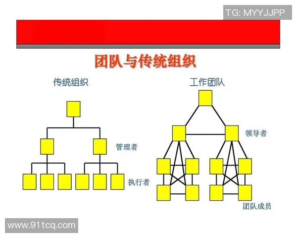 北京羽毛球队团队协作变革探讨与热议引发的深思与启示
